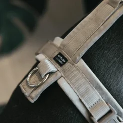 Harnais*Kentucky Dogwear - Harnais pour chien actif velvet beige