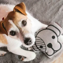 Jouets Pour Chiens*Kentucky Dogwear - Jouet pour chien Gris