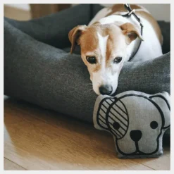 Jouets Pour Chiens*Kentucky Dogwear - Jouet pour chien Gris