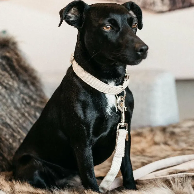 Clearance - Laisse en laine 120 cm Laisses