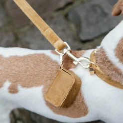 Laisses*Kentucky Dogwear - Laisse pour chien Velvet 2m moutarde Jaune