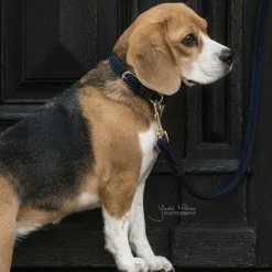 Sale - Laisse en nylon tressé Plaited Nylon 200 cm Laisses