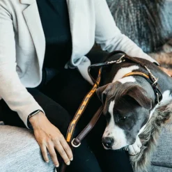 Online - Laisse pour chien perles faites main 250 cm orange/noir Laisses