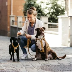 Sale - Laisse pour chiens Velvet 120 cm Moutarde Laisses