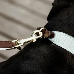 Best - Laisse pour chien Jacquard ciel Laisses