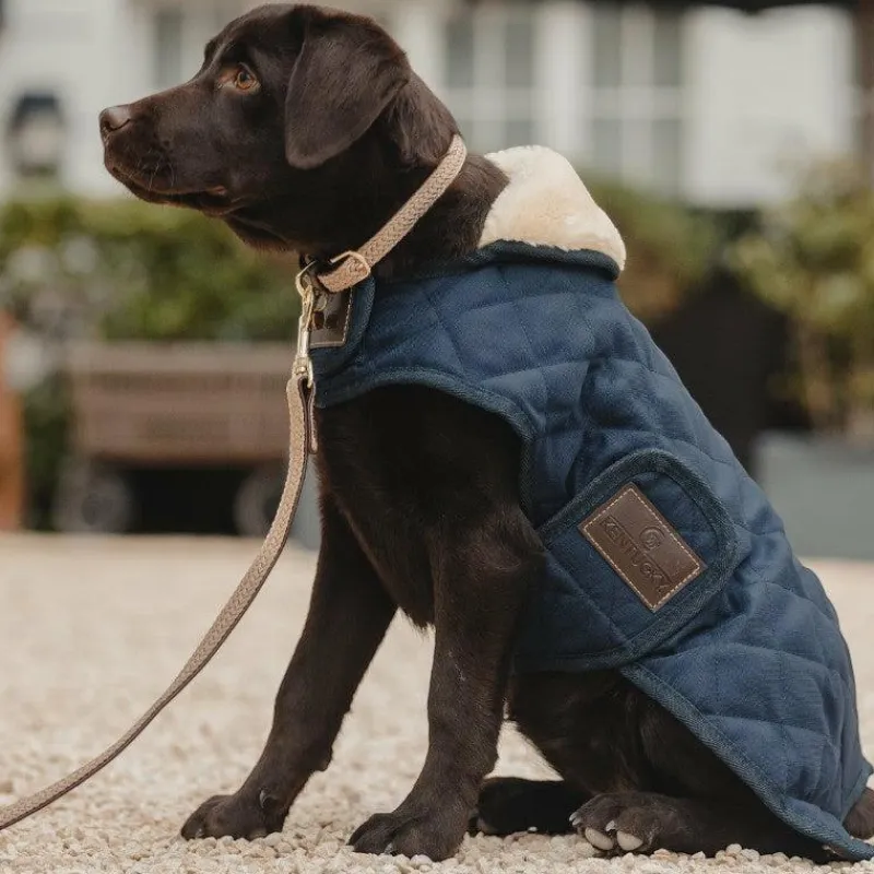 Laisses*Kentucky Dogwear - Laisse pour chien nylon tressé Plaited Nylon 120 cm Beige