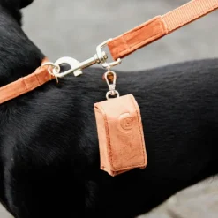 Outlet - Laisse pour chien Velvet 2m Laisses