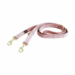 Laisses*Kentucky Dogwear - Laisse pour chien Velvet 2m vieux rose