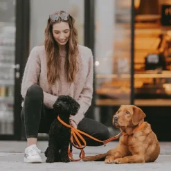 Laisses*Kentucky Dogwear - Laisse pour chien nylon tressé Plaited Nylon 120 cm Orange