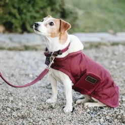 Outlet - Laisse pour chien nylon tressé Plaited Nylon 120 cm Laisses