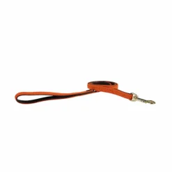 Laisses*Kentucky Dogwear - Laisse de nylon tressé Plaited Nylon 200 cm Orange