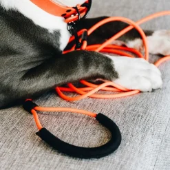 Best - Laisse d'entrainement en caoutchouc souple 3m Laisses