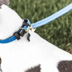 Sale - Laisse pour chien Plaited Nylon 120 cm clair Laisses