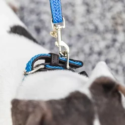 Sale - Laisse pour chien Plaited Nylon 120 cm clair Laisses