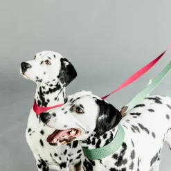 Best - Laisse pour chien Jacquard rose Laisses