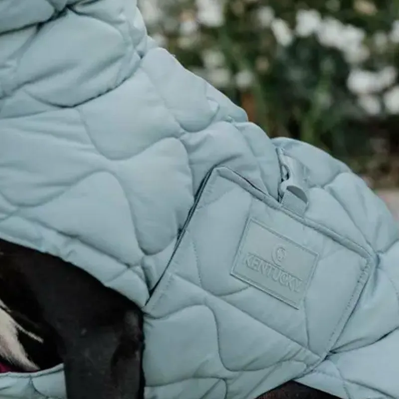 Hot - Manteau pour chien Pina ciel 160g Manteaux