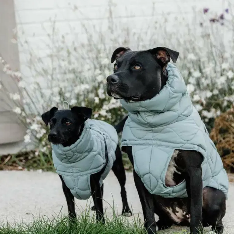 Hot - Manteau pour chien Pina ciel 160g Manteaux