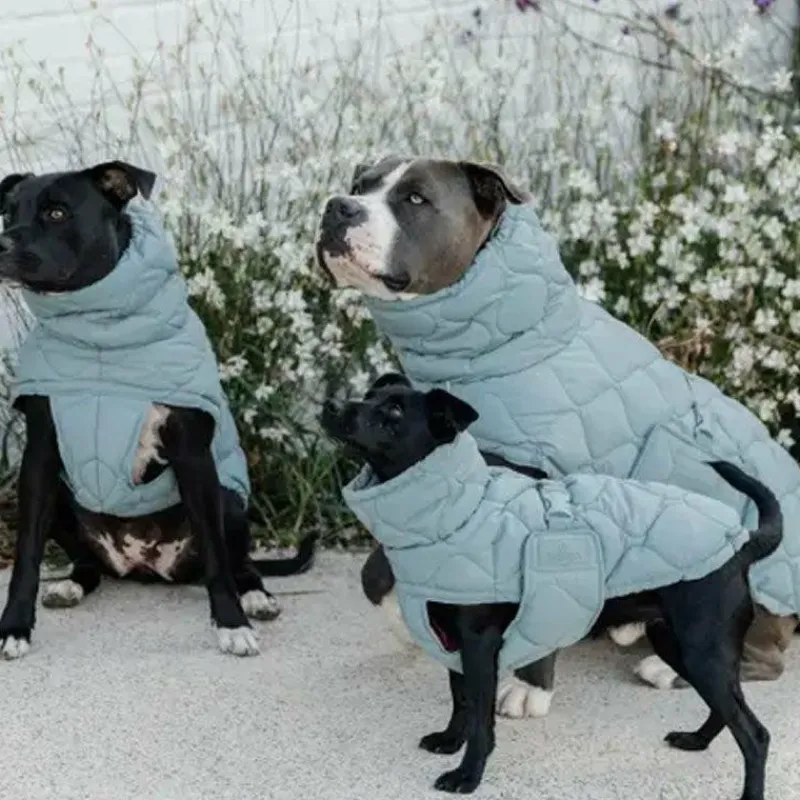 Hot - Manteau pour chien Pina ciel 160g Manteaux