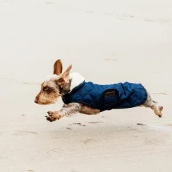 Clearance - Manteau pour chiens 160g Manteaux