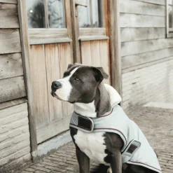 Manteaux*Kentucky Dogwear - Manteau Imperméable réfléchissant Dusty Blue 160g Argent