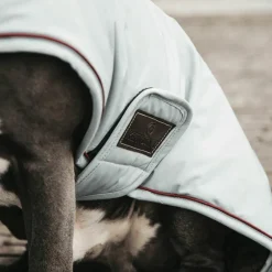 Manteaux*Kentucky Dogwear - Manteau Imperméable réfléchissant Dusty Blue 160g Argent