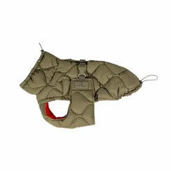 Manteaux*Kentucky Dogwear - Manteau pour chien Pina kaki 160g Vert