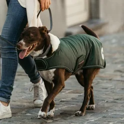 Manteaux*Kentucky Dogwear - Manteau pour chiens Waterproof 300g Vert