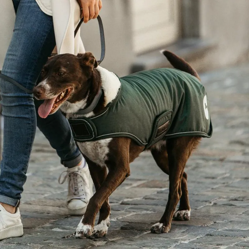 Manteaux*Kentucky Dogwear - Manteau pour chiens Waterproof 300g Vert