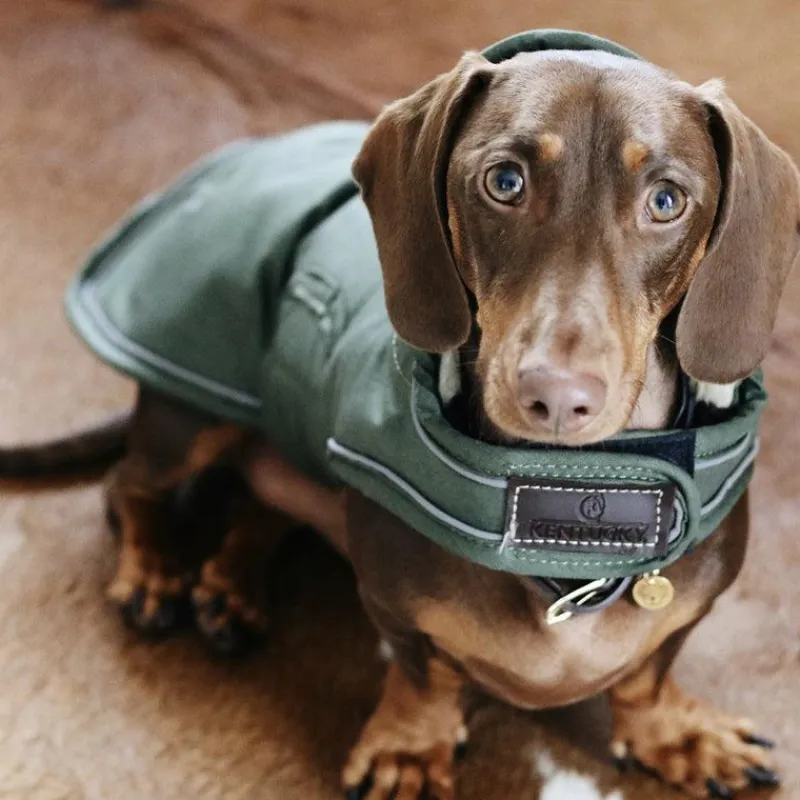 Manteaux*Kentucky Dogwear - Manteau pour chiens Waterproof 300g Vert