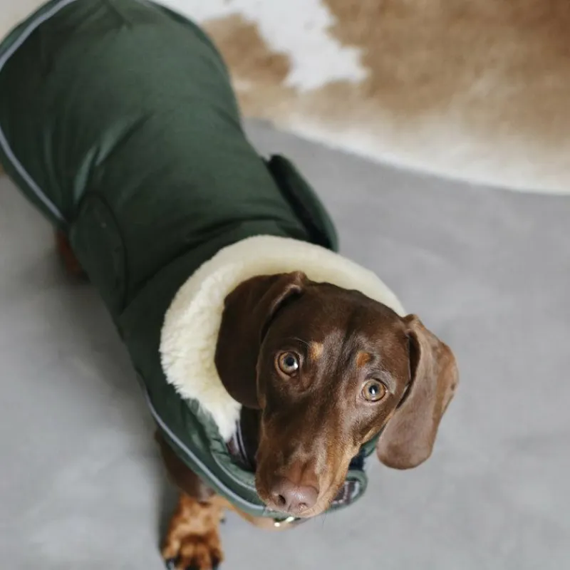 Manteaux*Kentucky Dogwear - Manteau pour chiens Waterproof 300g Vert