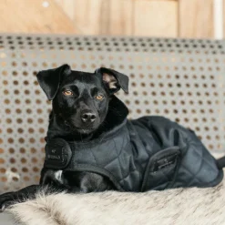 Hot - Manteau pour chiens 160g Manteaux