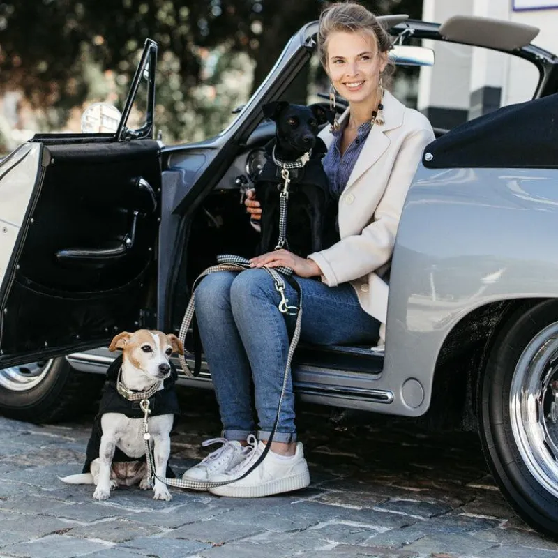 Hot - Manteau pour chiens 160g Manteaux