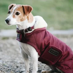 Hot - Manteau pour chiens 160g Manteaux