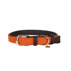 Colliers*Kentucky Dogwear - Nylon tressé collier de chien Orange