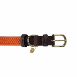 Colliers*Kentucky Dogwear - Nylon tressé collier de chien Orange