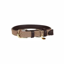 Discount - Nylon tressé collier de chien Colliers
