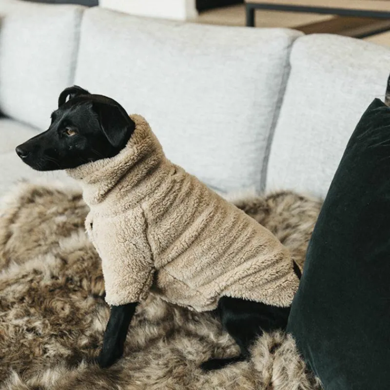Manteaux*Kentucky Dogwear - Pull pour chien Teddy Fleece 0g Beige