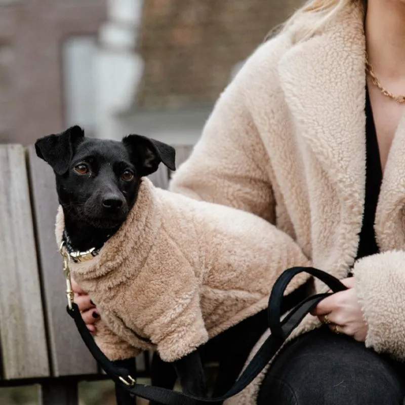 Manteaux*Kentucky Dogwear - Pull pour chien Teddy Fleece 0g Beige