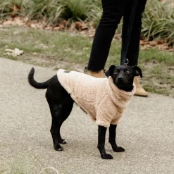 Manteaux*Kentucky Dogwear - Pull pour chien Teddy Fleece 0g Beige