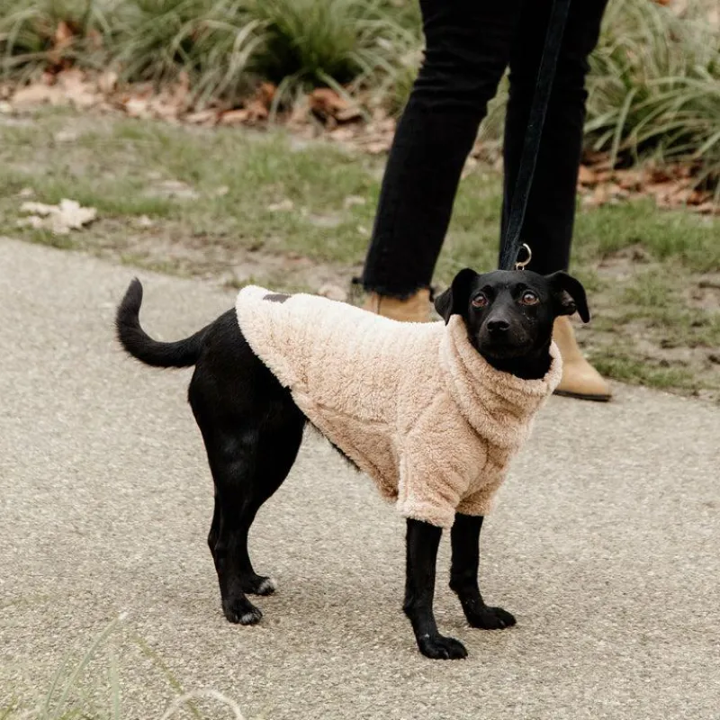 Manteaux*Kentucky Dogwear - Pull pour chien Teddy Fleece 0g Beige