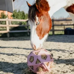 Sale - Balle de jeu/ foin pour chevaux en caoutchouc vieux Jouets Pour Chevaux|Collection
