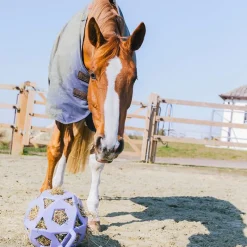 Jouets Pour Chevaux*Kentucky Horsewear - Balle de jeu/ balle à foin lavender Violet