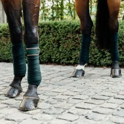 Bandes De Polo*Kentucky Horsewear - Bandes de polo (x4) Vert
