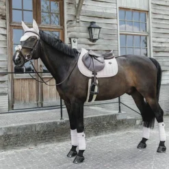 Bandes De Polo*Kentucky Horsewear - Bandes de polo Velvet Pearls tendre (x4) Rose