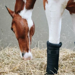 Bandes De Repos*Kentucky Horsewear - Bandes de repos Repellent (x4) Noir