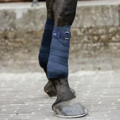 - Bandes de travail élastiques (x2) Bandes De Travail