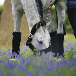 Discount - Bandes de repos (x4) Bandes De Repos