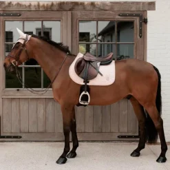 Sale - Bonnet pour chevaux Wellington Sparkling vieux Bonnets Pour Chevaux