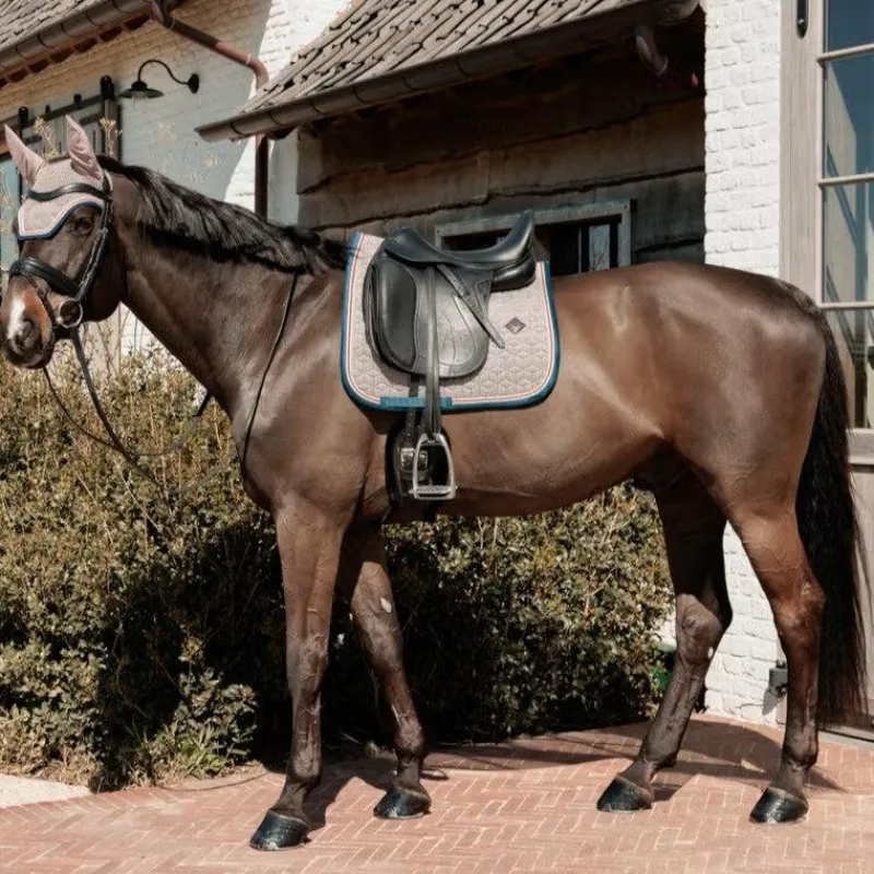 Discount - Bonnet pour chevaux pied de poule / navy Bonnets Pour Chevaux