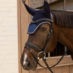 Bonnets Pour Chevaux*Kentucky Horsewear - Bonnet pour chevaux Wellington Velvet dark navy Marine